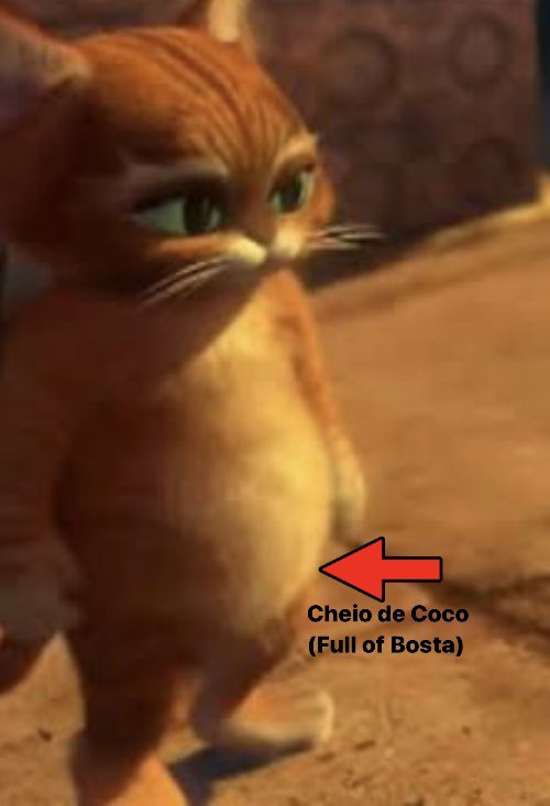 isa on X: gato de bostas / X