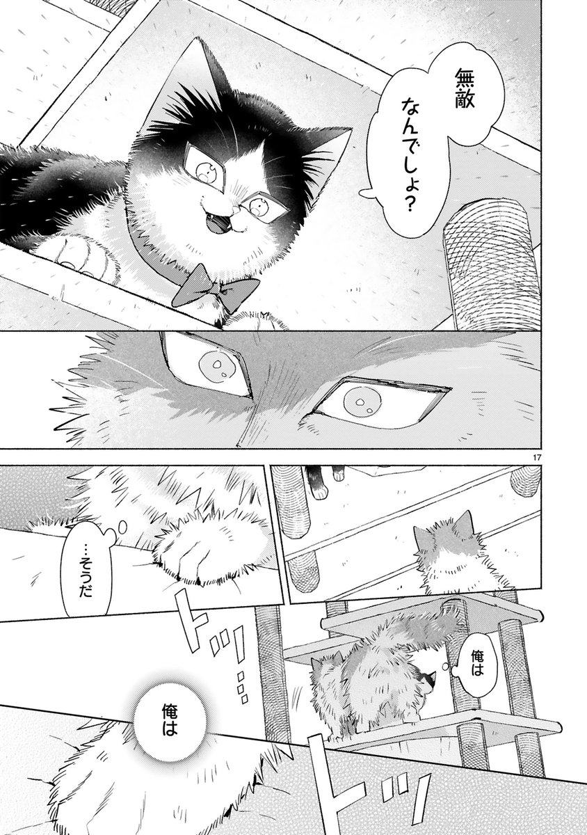 【1/26 更新】
✨コミックス第⑨巻 好評発売中!✨

『同居人はひざ、時々、頭のうえ。』
step.26 一歩、一歩。【ハル編②】
https://t.co/W0nfUAHckw

アンタなら大丈夫! 無敵なんでしょ?
ハルの言葉に一歩踏み出すロク。
高くて怖いキャットタワーに挑む🔥🔥

#COMICポラリス 