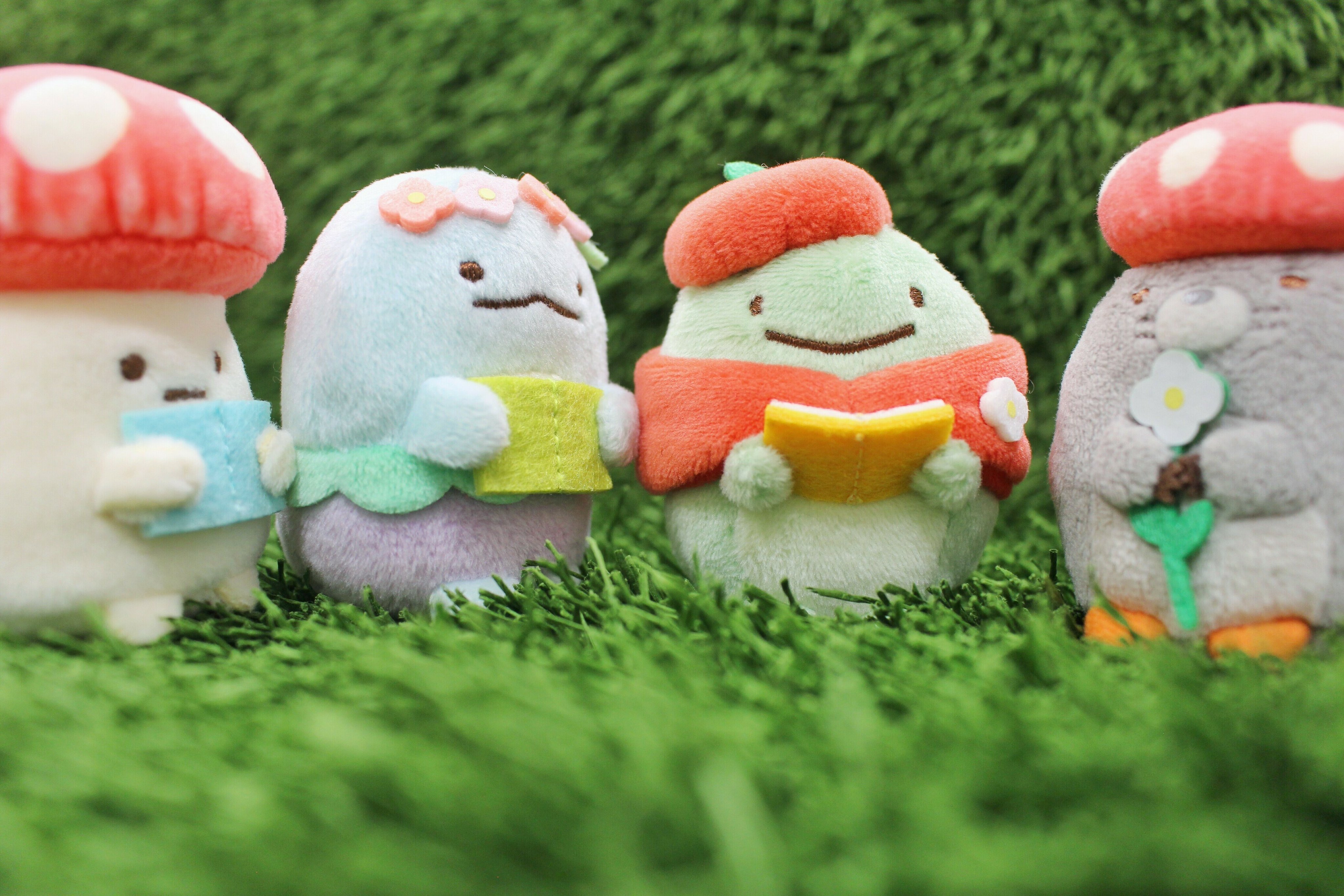 すみっコぐらし検定【公式】 (@sg_kentei) / Twitter