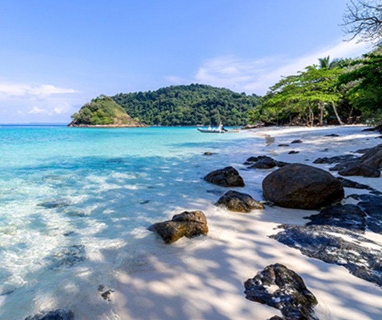 คิดถึงทะเลจัง...
คู่แท้ มีแอ็คล๊อคส่วนตัวรับเฉพาะคู่แท้ สาวเดี่ยว ชายเดี่ยวที่แนะนำตัว สนับสนุน ซับพอร์ตแอ๊คล็อค ใครสนใจทัก DM มานะจ๊ะ