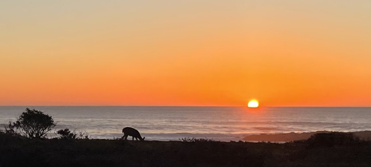 Bodega Marine Reserve - peaceful winter sunset