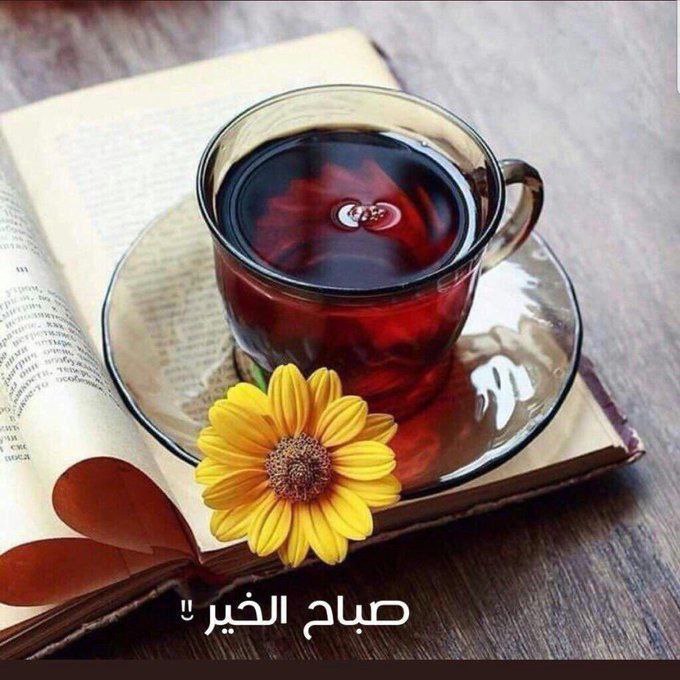 #صباح الخير
 للذين لم يتفقد أحوالهم أحد
#صباح الخير
للذين استيقظوا وليس في قلوبهم ذرة من الكُره
#صباح الخير
للذين يعتذرون عن الإجابة عوضًا عن الكذب
#صباح الخير
للبسطاء
#صباح الخير
للذين أعرفهم والذين لا أعرفهم 🌸
#صباحكم__سعادة__وهناء