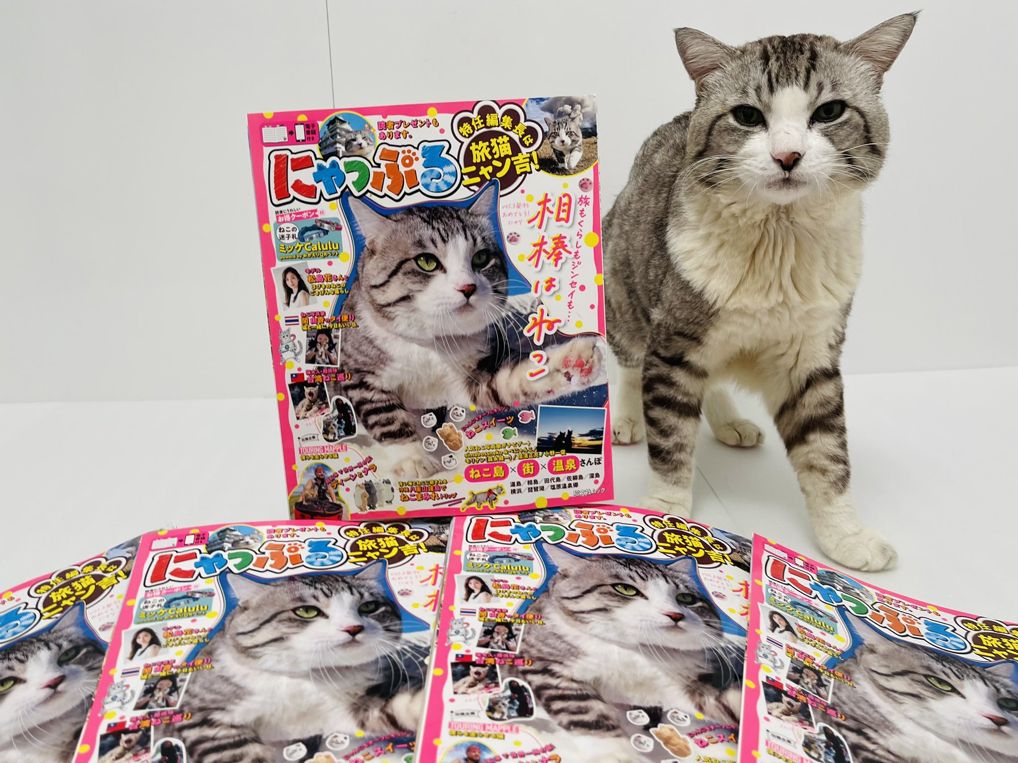 ニャン吉様専用】転生したらスライムだった件 特装限定版 Blu-ray セッ