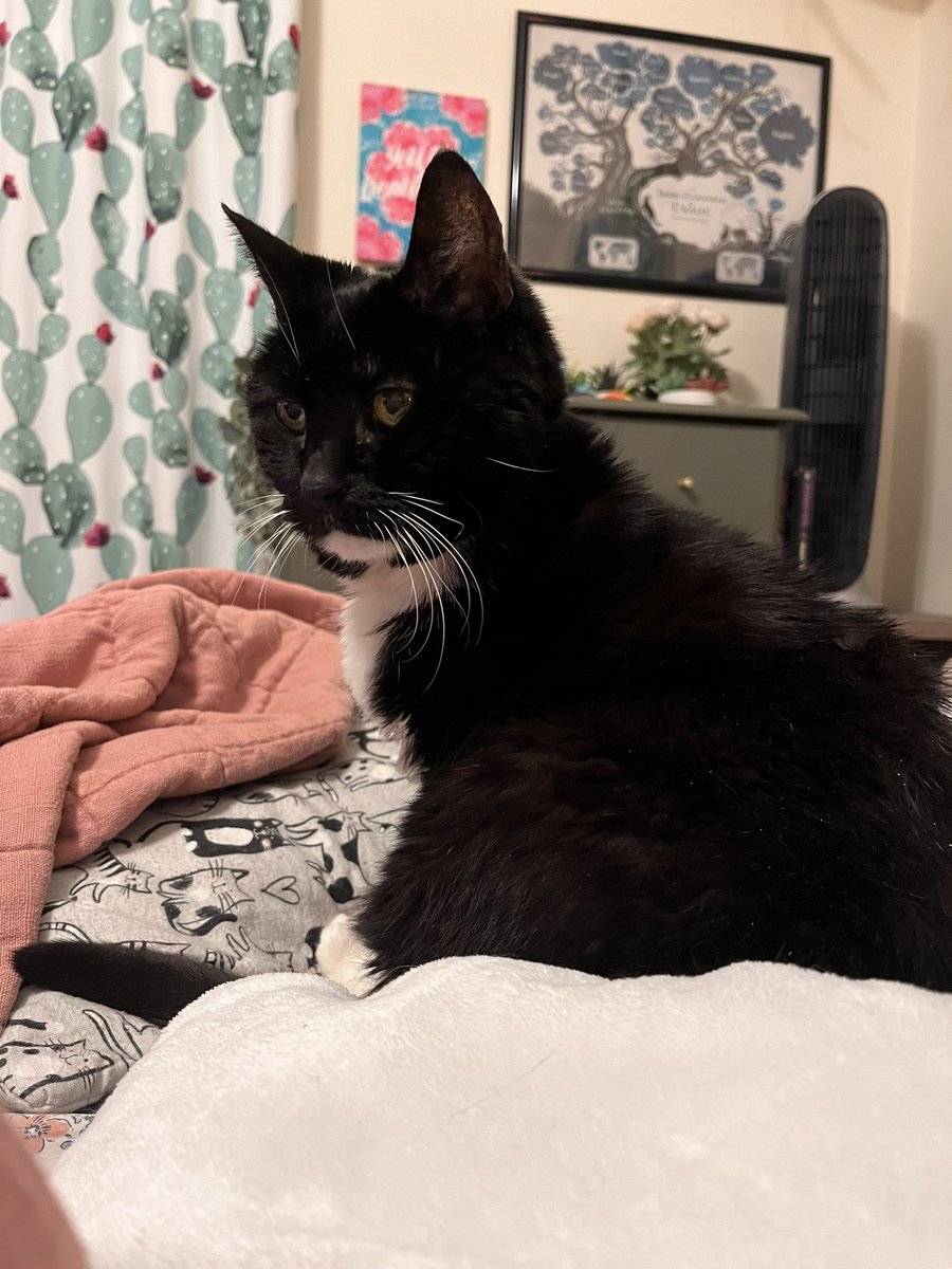 BodesFupa's tweet photo. I am 16 today!!!! 🎉🥳 #SWEET16 https://t.co/5XaiwqcM2f