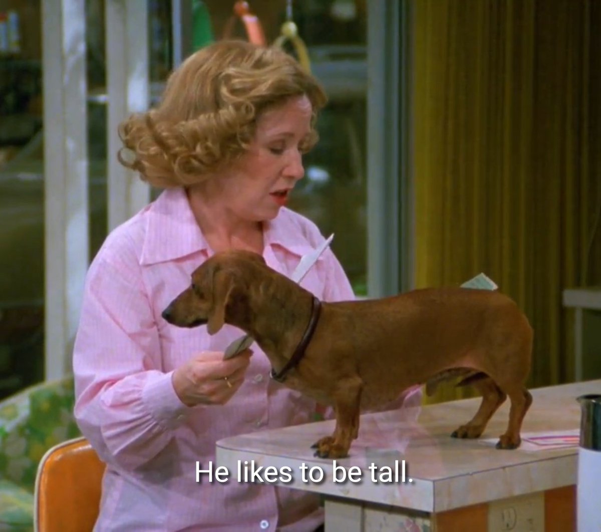 that 70s show ☮︎ (@that7osdaily) on Twitter photo 