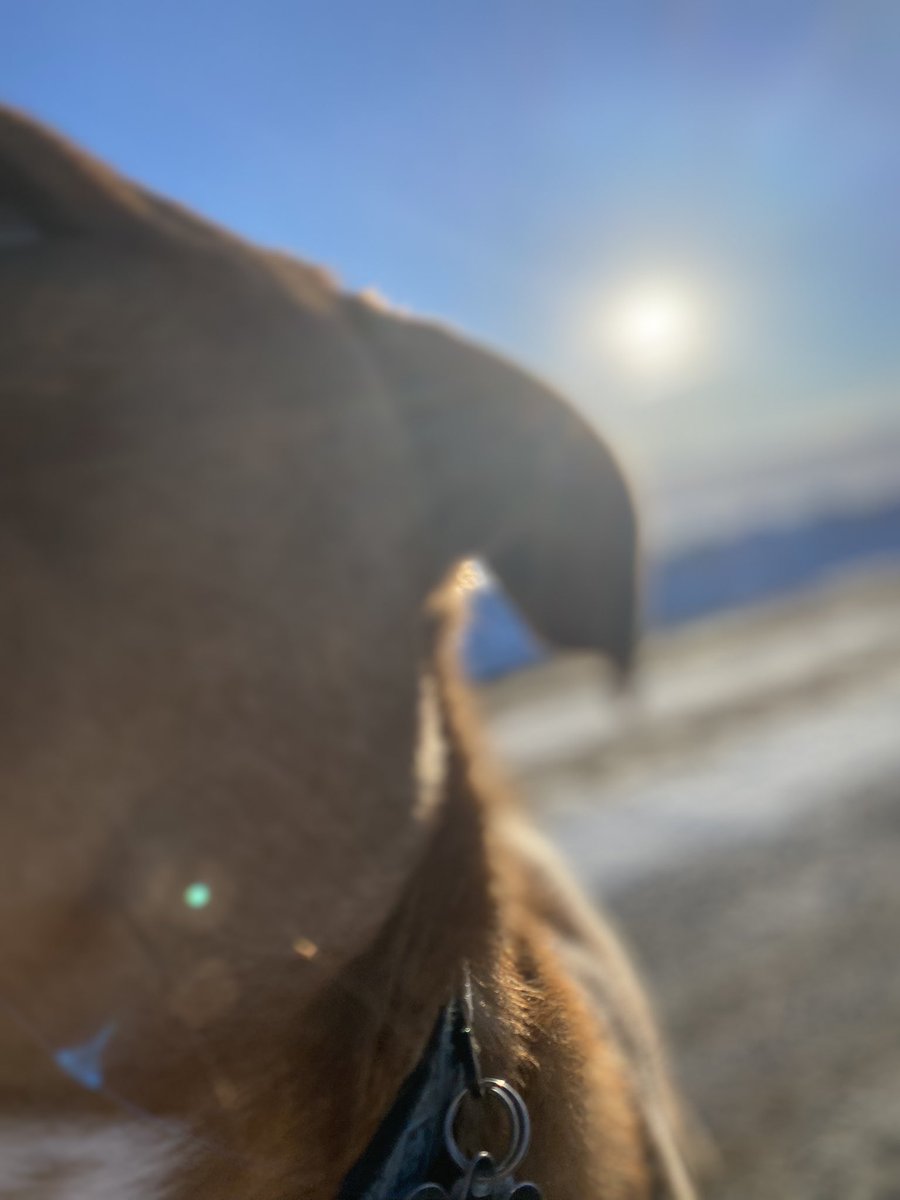 Dakota Price tweet media