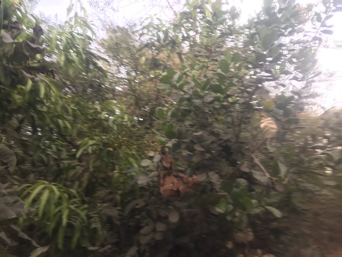 Buba bayo (@bubabayo5) on Twitter photo 