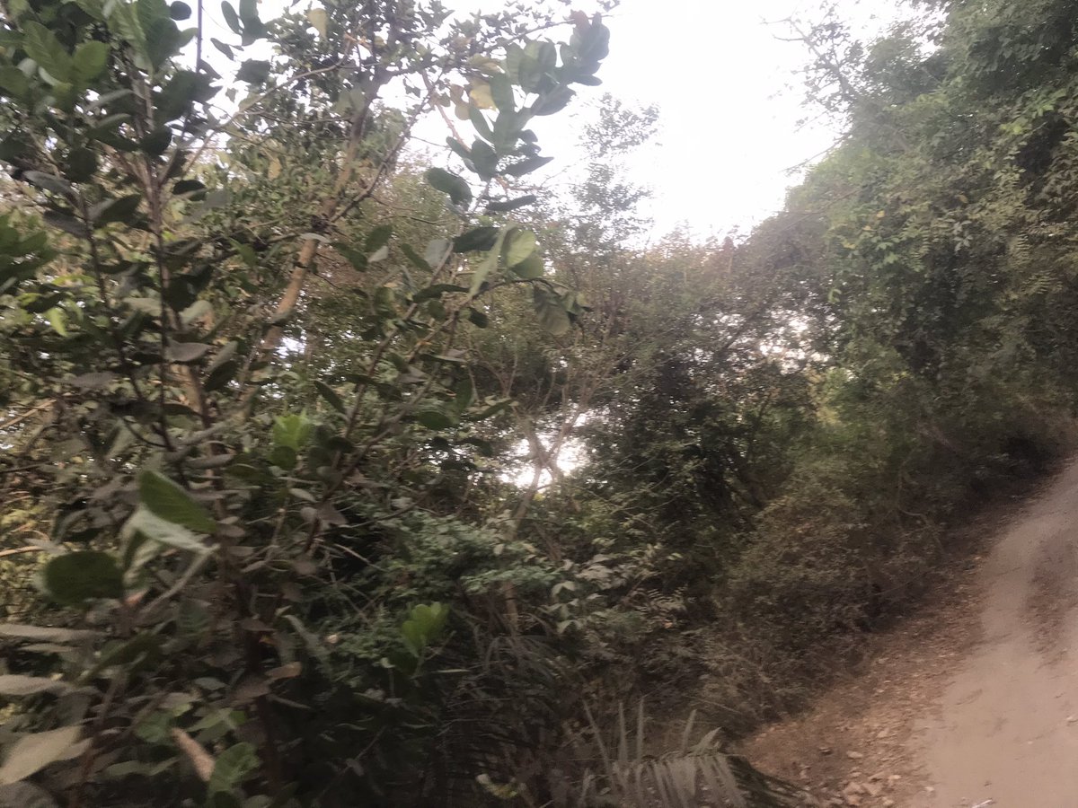 Buba bayo (@bubabayo5) on Twitter photo 