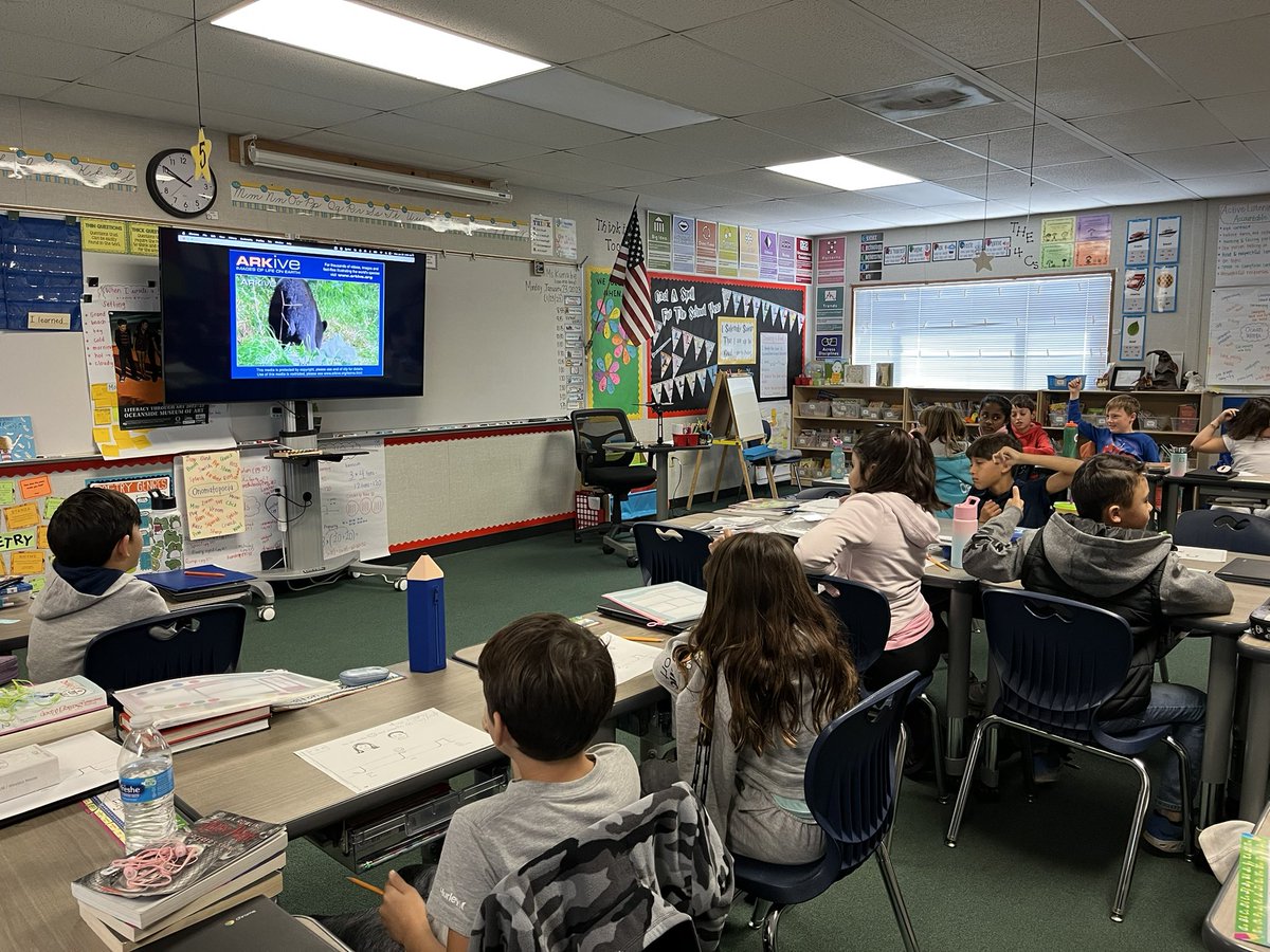 IveyRanchElementary tweet media