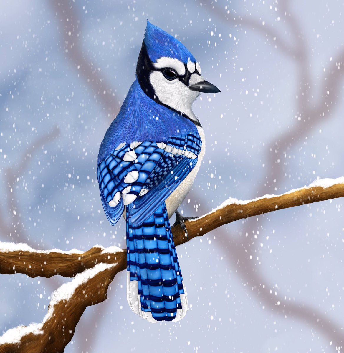 stephenherner's tweet photo. So close to done.
https://t.co/FQC0hTgJad #illustrations #naturedrawing #birds #nature #scientificdrawing #birdsofinstagram #birdwatching #birding #birdstagram #birdlife #wildlife
#drawing #illustration #artwork #drawings #artistsoninstagram #digitaldrawing #birdartist https://t.co/t5879CWftw