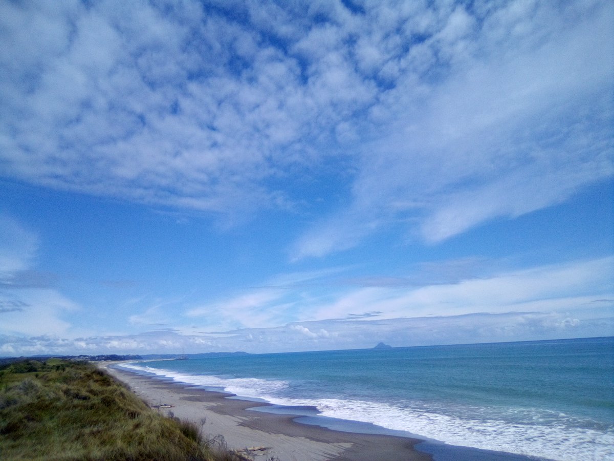 André Hock tweet media