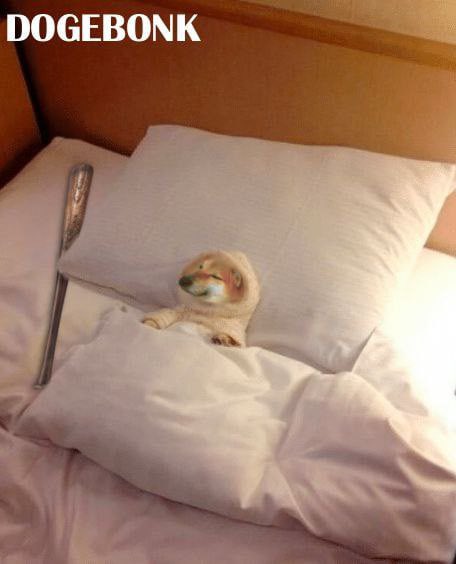 GN to all the Bonkers heading to sleep early tonight! Prepare for maximum Bonking tomorrow. 😉🙌

 $DB #DOGEBONKETH #BTC #ETH #BULLMARKET #BULLRUN #DOBO #FLOBO #BOBO #SHIB #SHIBARIUM #CRYPTO #1000X
