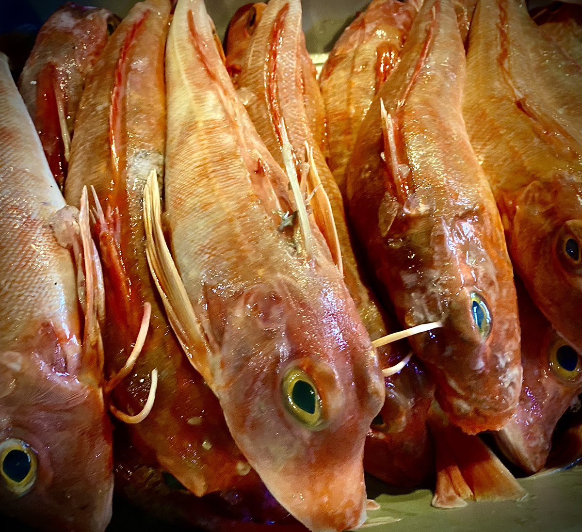 Whole Red Gurnard - crayfish and chilli butter - Cajun fries