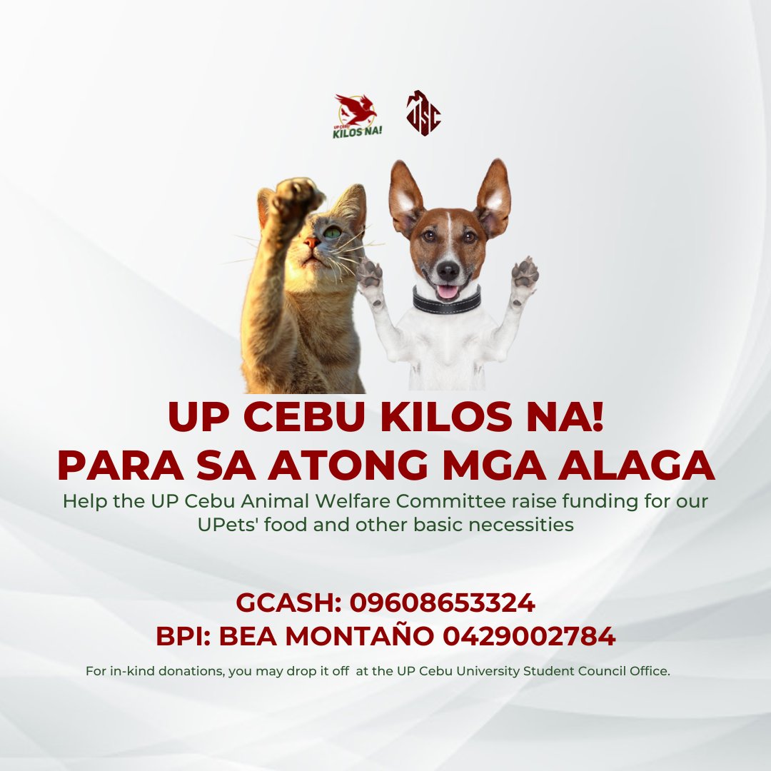 upcebu_usc's tweet photo. LET'S HELP OUR UPets π₯ΊπΎ
For MONETARY DONATIONS, you may send them through:
Gcash - 09608653324
BPI - 0429002784
For IN-KIND DONATIONS, including food supply, materials, and toys, you may drop them off at the UPC USC Office.
#UPCebuKilosNa
#UPets https://t.co/o54LIOrhpc