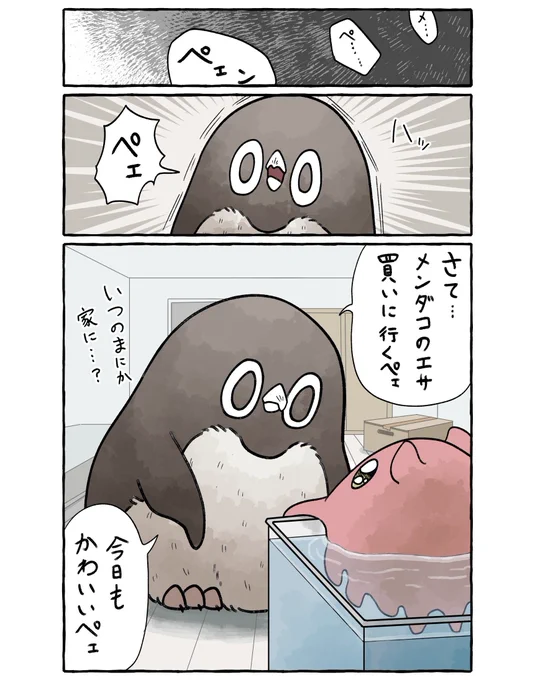 ペットを飼うアデリーペンギン。(4/4) 
これからも一緒暮らそうね🐙
#漫画 #イラスト #アデリーペンギン 
