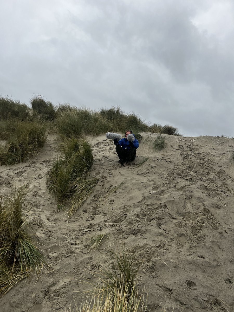 This is how you make a programme about deserts without leaving the country