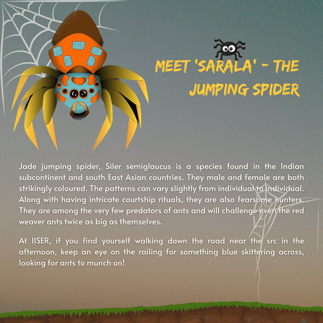 Ecological Society of IISER-TVM (@esi_tvm) on Twitter photo Human folks, furry friends and foes: ESI is sto (r)ked to announce that it's that time of the year again-WILDLIFE WEEK 2023 is rolling around the corner as we speak!
With exciting events planned out throughout the week (5th to 12th february), along with talks, workshops, (1/3) Human folks, furry friends and foes: ESI is sto (r)ked to announce that it's that time of the year again-WILDLIFE WEEK 2023 is rolling around the corner as we speak!
With exciting events planned out throughout the week (5th to 12th february), along with talks, workshops, (1/3)