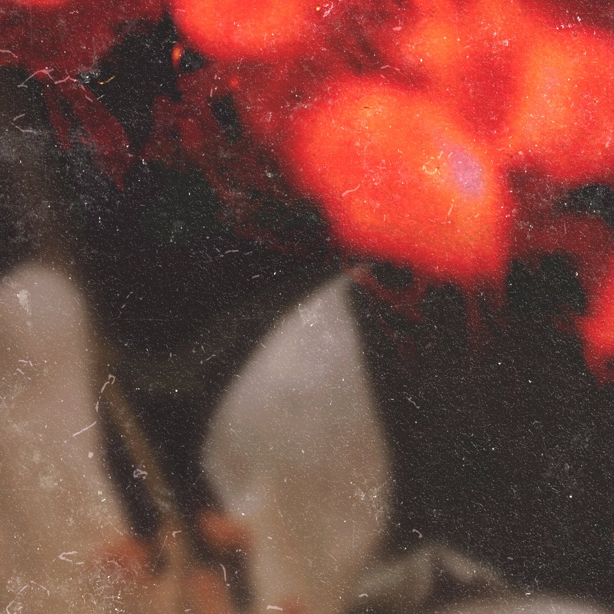 1st february 2023. sign up for news. 

tendaiandglen.com