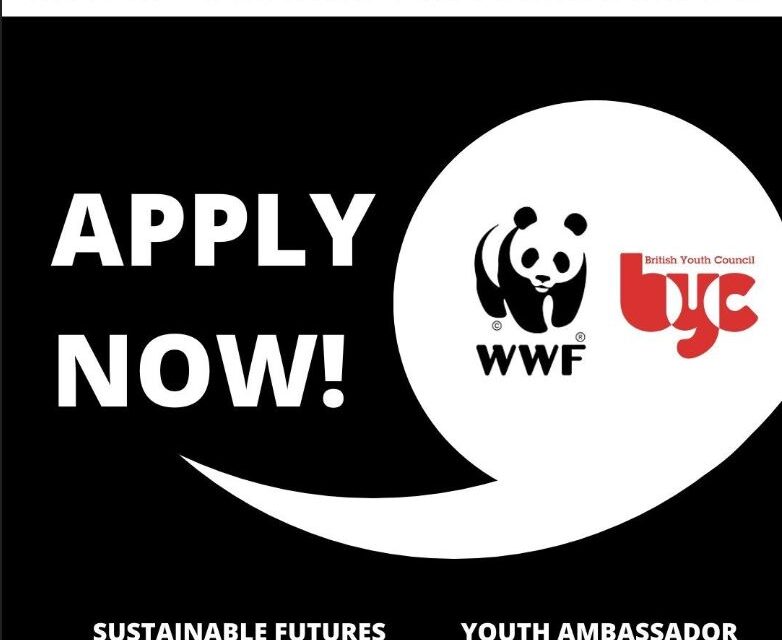 SHIELDUganda's tweet photo. Become a Youth Ambassador and Sustainable Futures Advisor for British Youth Council and WWF-UK

https://t.co/2naSLkmHz8

@reachahand @UNYPA1 @SRHRAllianceUg @NaguruTeenage https://t.co/tuUaO22E2e