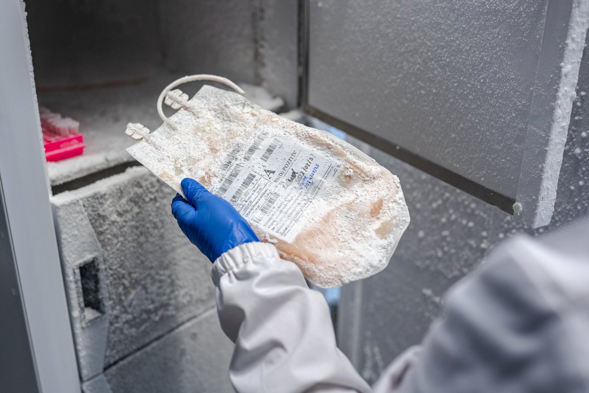 Despite the well-known advantages of using platelet lysates for cell growth and proliferation, lot-to-lot inconsistencies can quickly render them useless💢

✔️We pool multiple donor blood units to reduce experimental variability while increasing the reliability of your assays🔬