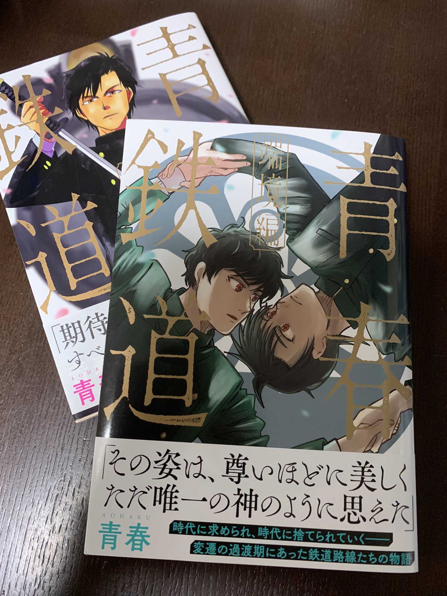 青春鉄道 漫画 セット 抜けてる巻あり 特典 黎明編 端境編 コミック Amazon.co.jp: 青春鉄道 黎明編 (MFコミックス ジーンシリーズ
