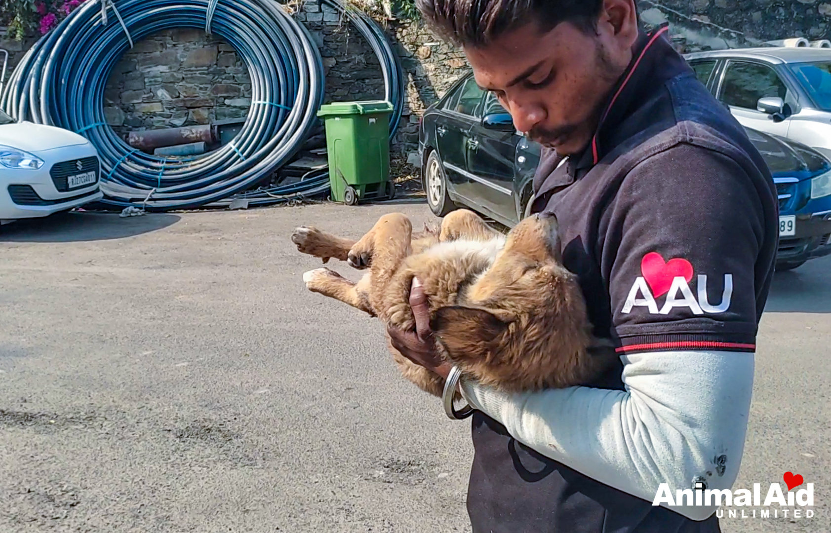 Animal Aid Unlimited (@AnimalAid_India) / Twitter