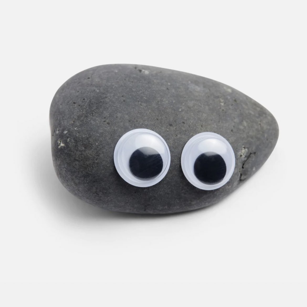 rock-with-googly-eyes
