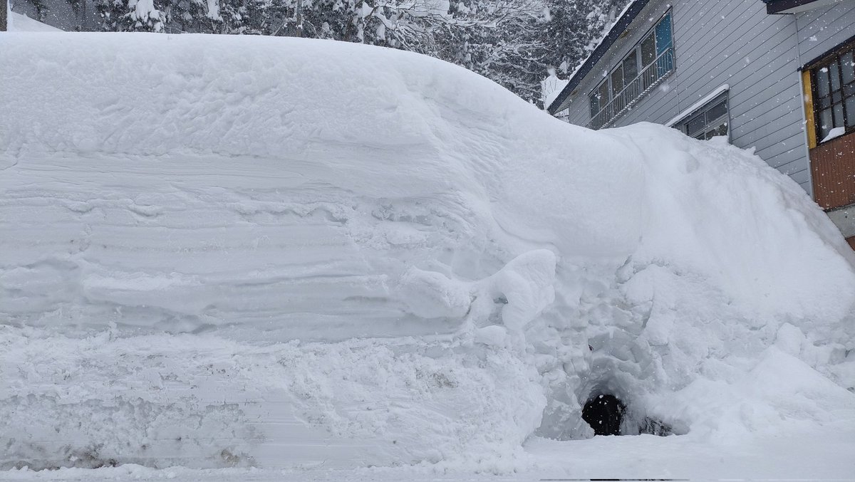 Cicadatom's tweet photo. みんな！見よ！これが積雪4m超えの世界だ！(2022年2月津南町)
山沿いのエリアや除雪された道路沿いは余裕で5m超え！

特にやばいのは4枚目
上の方、空じゃなくて雪です。

もう一度言います、
「空ではなく雪です」

2枚目の写真はアメダスの直ぐそば https://t.co/vHygNEjloP