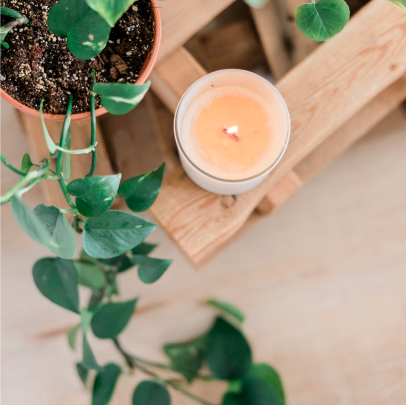 How can you make positive changes to your life? Distractions in the environment can be a hindrance to your inner-peace. Today’s article shares tips and guidelines on how to remove the stressors and bring serenity into your environment. loom.ly/h4aqdUY #Stress #Calm