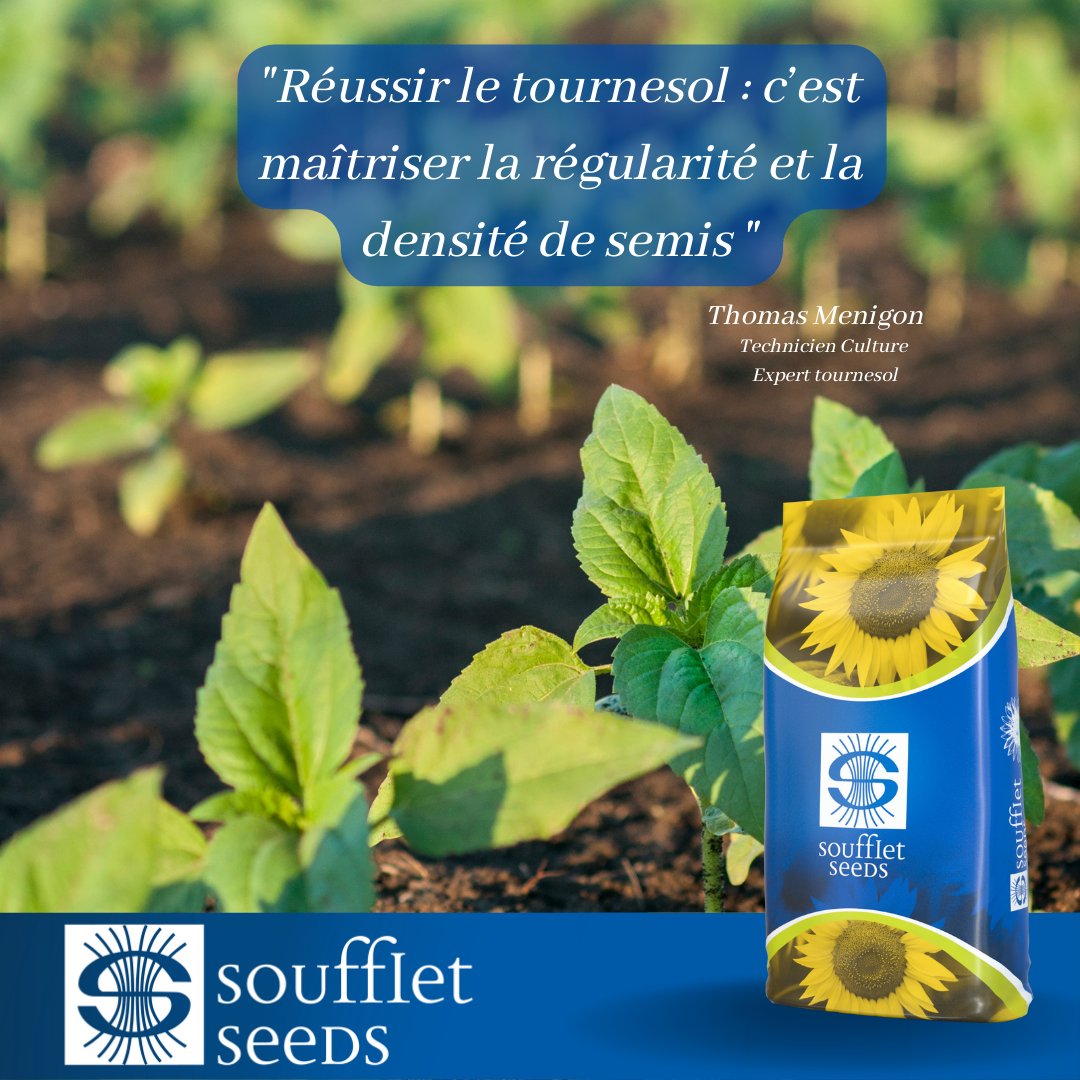 Soufflet_Agri's tweet photo. 👨🌾Thomas Menigon notre expert #tournesol dit: "Pour réussir son semis, il faut maîtriser la régularité et la densité."
🧐Pour connaitre toute la gamme tournesol 👉https://t.co/BRwsDpmKSz
🙂Vos bons semis commencent sur #Farmi !!!
#agriculture #agriculteur #semis #CeuxQuiSèment https://t.co/OgagTW3TSz