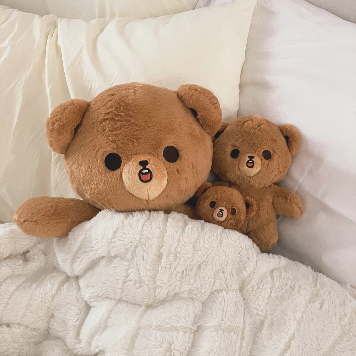 Aom_bf's tweet photo. gomdo lee 4th round 🐻🛎️*
มาตอนตลาดจะวายแล้ว 🥹 เรารับพรีน้องกมโดทุกไซส์เลยนะคะ 

✿ 7cm – 540฿
✿ 20cm – 820฿
✿ 20cm + เซตชุด – 1,300฿ 
✿ 40cm – 1,600฿

ราคารวมภาษี ส่งกลับแอร์ ปิดรับ 31/01 20:00 น.ค่า 🧡
#ตลาดนัดnct #ตลาดนัดnctdream
#กมโดลี #gomdolee https://t.co/iE4e1y7BnS
