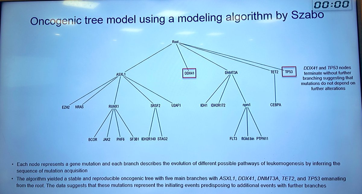 Prof Hartmut Dohner on oncogenes tree model in AML #hemeonc 
⚡️5 branches of the tree: ASXL1, DDX41, DNMT3A , TET2 And TP53 suggesting these are the initiating events .
⚡️While ASXL1 node depends on further mutations downstream-branching , TP53 andDDX41 doesn’t .
#MHG2023 #aml