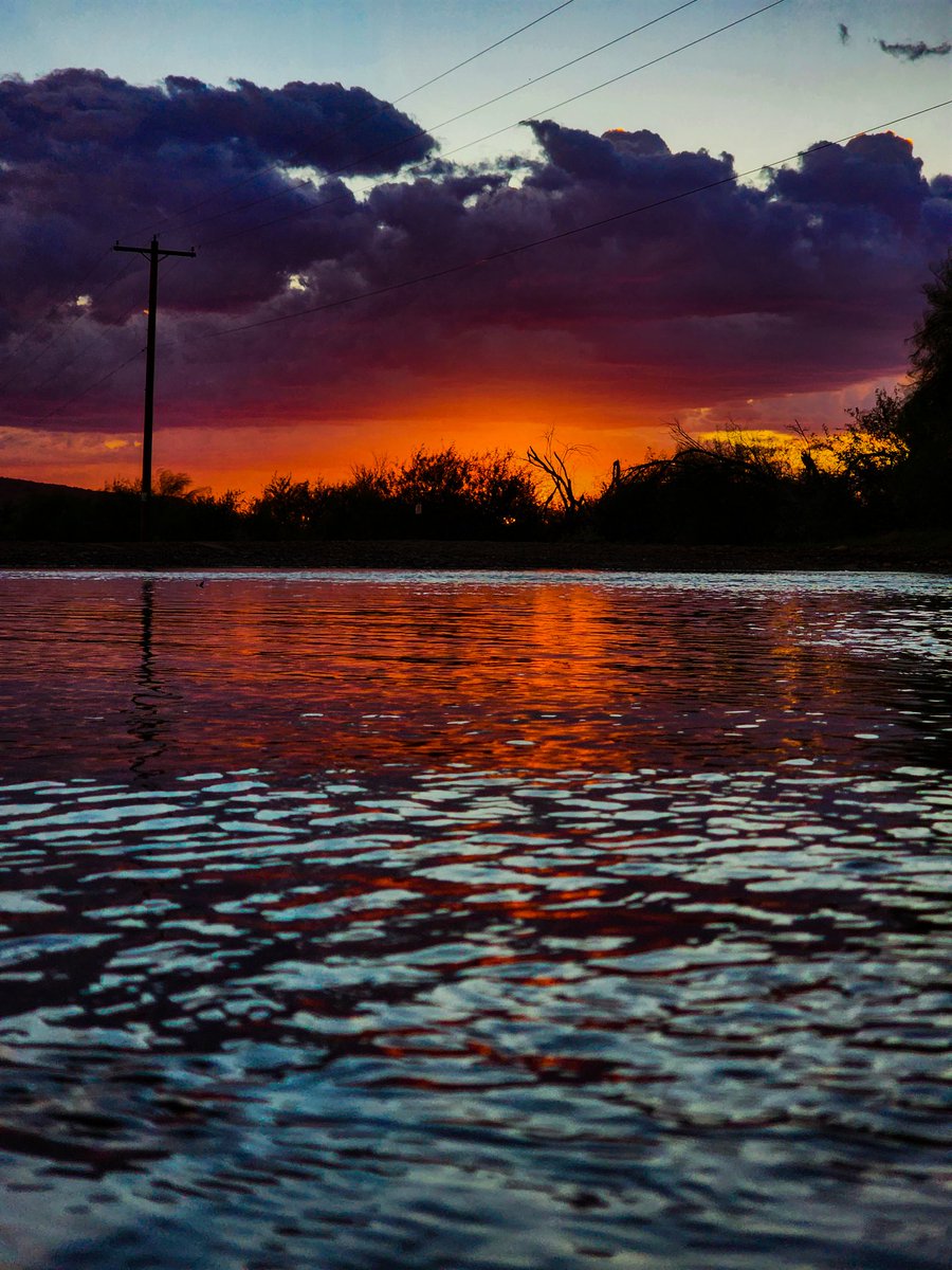 AZsolNft's tweet photo. GN friends, I leave you tonight with this boring little puddle... just sittin' there... no fun in sight. #photography #AZSolArt #TagginAlong #nfts https://t.co/i9bTcP3Pq6