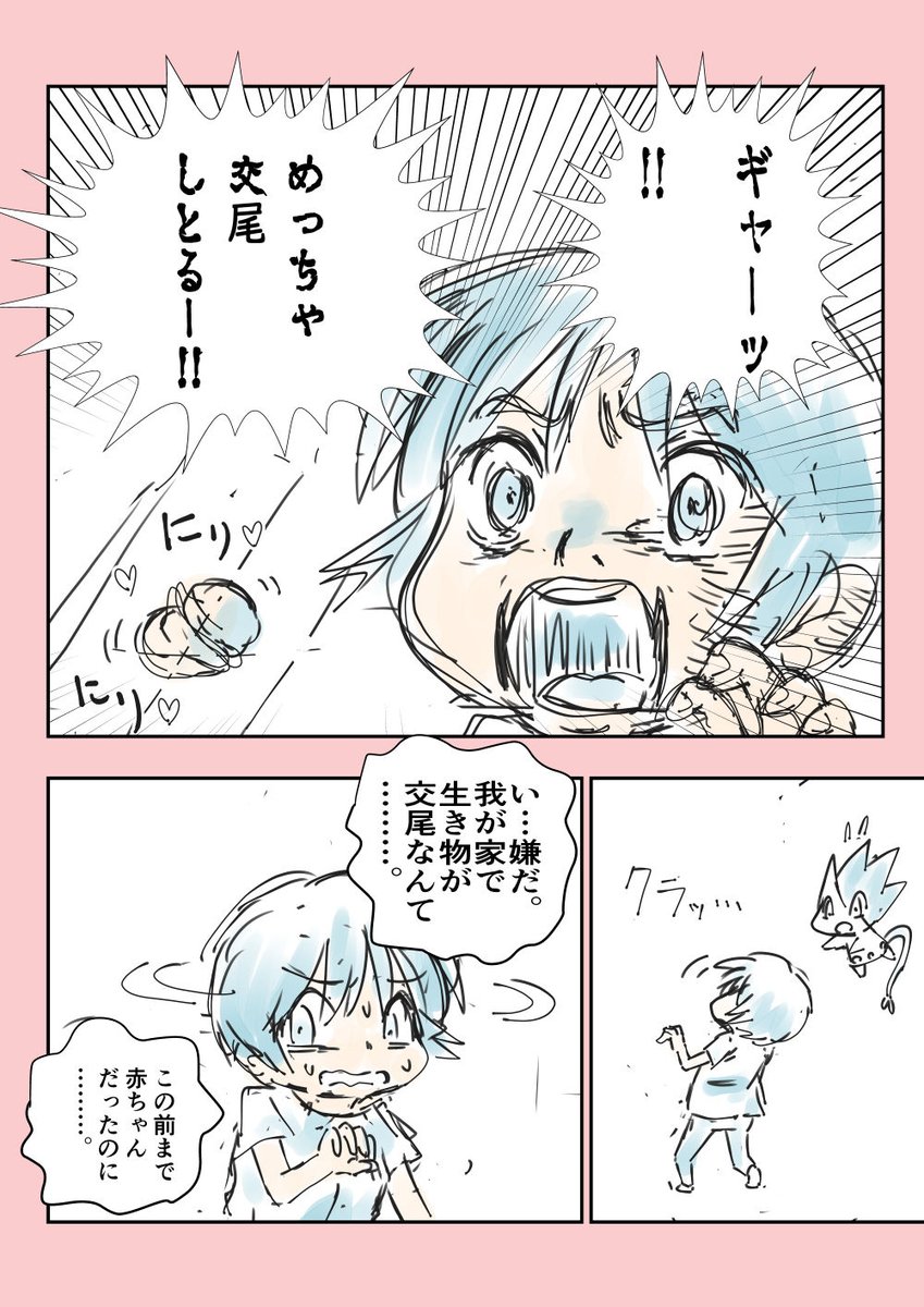 「熱帯魚を飼ったら、ドン引きした話」
#漫画が読めるハッシュタグ 