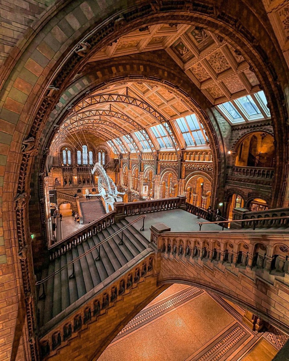 ABeautifulCult1's tweet photo. Natural History Museum in South Kensington, London 🇬🇧
Free entry.
photo credit @ _aaperspective_ https://t.co/HGlkRpmajS