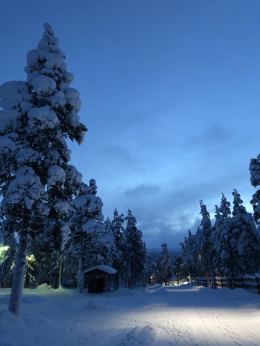 Nutrition Winter School tweet media