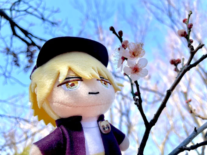 フクヤ様よりピこぬいのサンプルを頂きました!ありがとうございますせっかくなのでこがね丸と近所の梅を見てきました商品詳細先行展開ネットクレーンモール「とるモ」月10日からナムコのお店にも登場予定です。よろしくお願いいたします。 