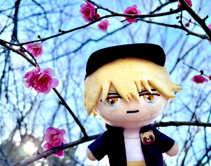 フクヤ様よりピこぬいのサンプルを頂きました!ありがとうございますせっかくなのでこがね丸と近所の梅を見てきました商品詳細先行展開ネットクレーンモール「とるモ」月10日からナムコのお店にも登場予定です。よろしくお願いいたします。 