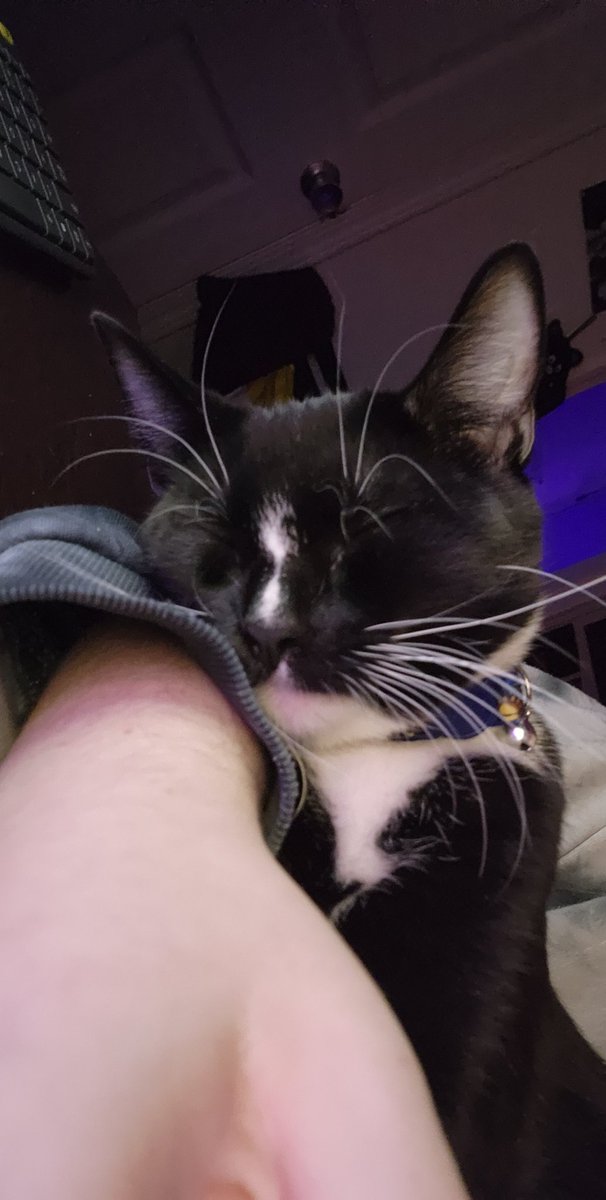 liminalterror's tweet image. I FUCKING FORGOR #WIZARDWEDNESDAY PLEASE FORGVIE ME HERE SHE IS !!