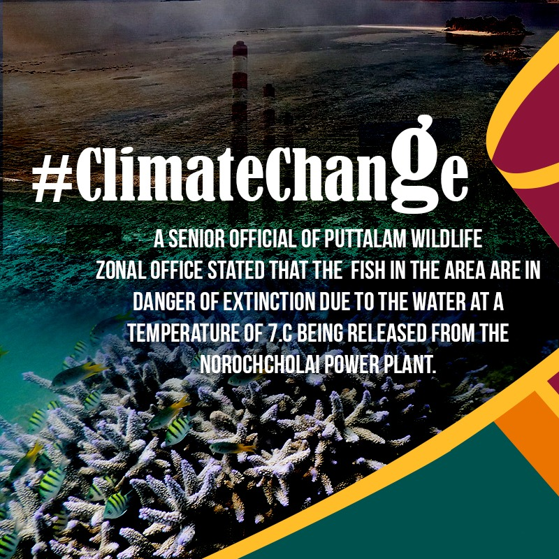 BuviniL's tweet photo. coal,similar to the quantity of a shipload, has been deposited on the seabed around Norochcholai.Senior official of the Puttalam Wildlife Zonal Office stated that the #fish in the area are in danger of extinction due to the #water at a temp of 7°C being released from Power Plant. https://t.co/NnytUDHby0