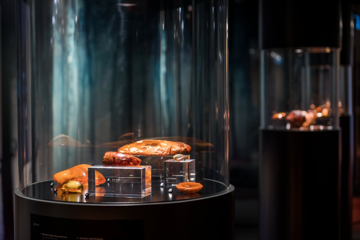 CityUHongKong's tweet photo. Want to learn the intriguing story of amber across regions, cultures, time and space? Don’t miss the exhibition “Amber: Baltic Gold”, presented by #CityU’s Indra and Harry Banga Gallery, showcasing 240 impressive amber artworks. Free admission: https://t.co/8sadffW1yK https://t.co/nCjo7aQsha
