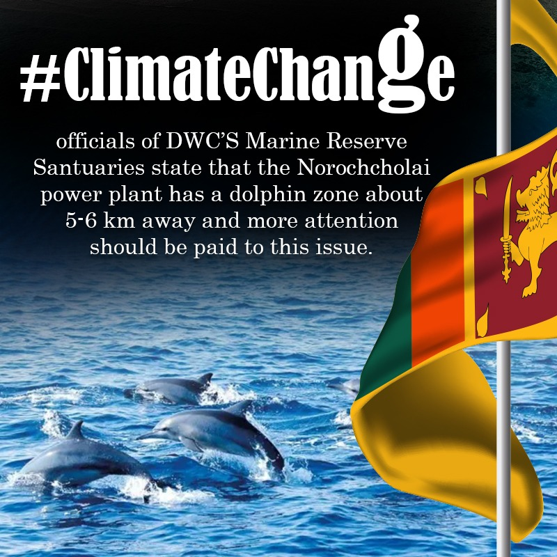 BuviniL's tweet photo. Officials of DWC’s Marine Reserve Sanctuaries state that the #Norochcholai power plant has a #dolphin zone about 5-6 km away and more attention should be paid to this issue. This officer further said that a recent search had found that there was no seaweed or sea creatures in the https://t.co/DXfej7XJPI