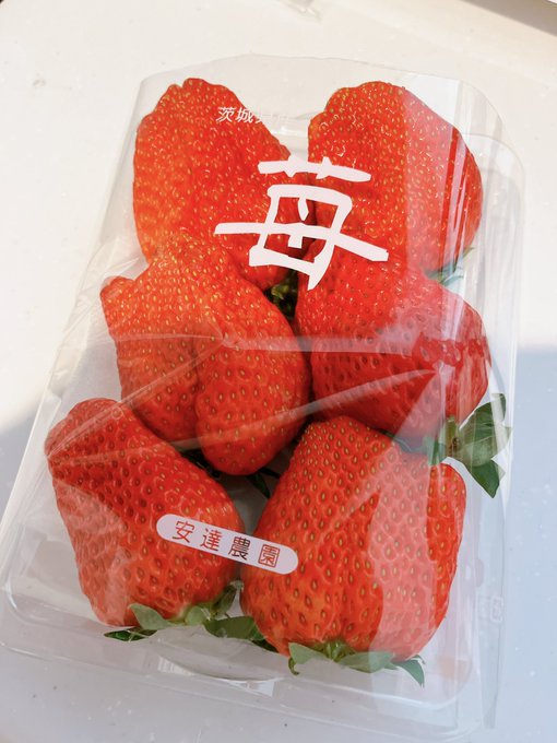 大きい大きい紅ほっぺ&hellip;めちゃくちゃ甘くて美味しいいぃぃい🥹🍓 https://t.co/UYeYzablg0