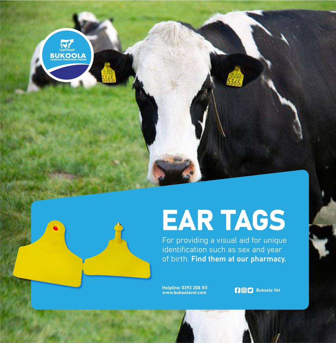 Bukoolavet's tweet photo. Ear tags ensure that you can track and prevent theft of your herd. They are greatly used in livestock such as cattle, goats, sheep, etc
Find ear tags at our pharmacy, Plot 14 – 18, Nakivubo Place Road, Container Village Next to Bukoola chemicals.
#bukoolavet #vetpharmacy #EarTags https://t.co/J3Tq4j1qFb