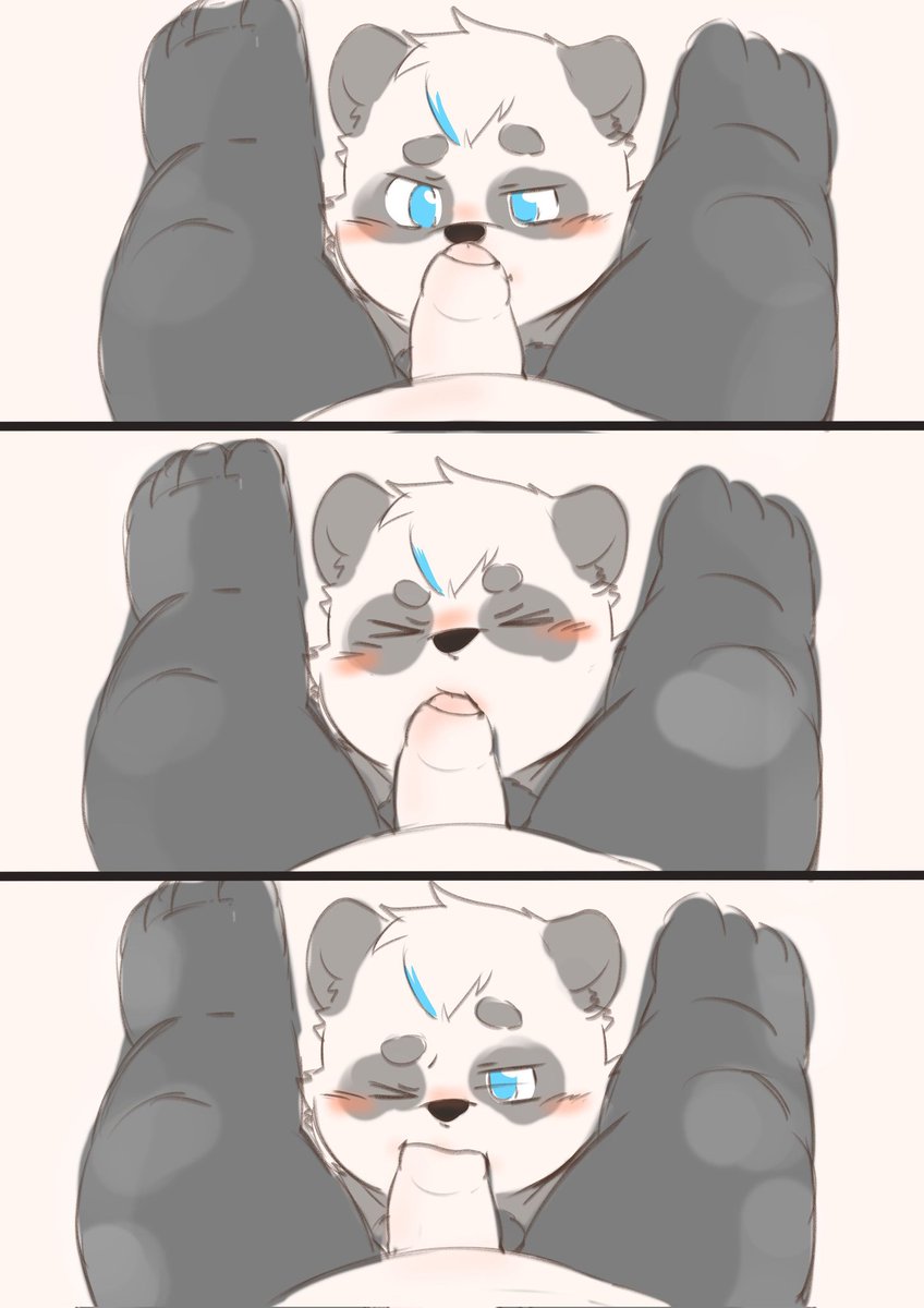 Thepanda. tweet media