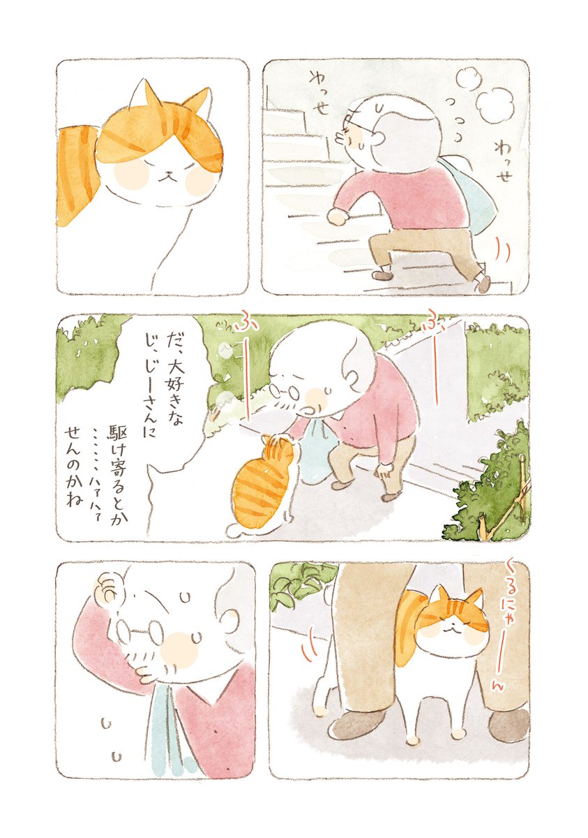 幼稚園児から90歳代まで幅広く支持を受けているロングセラーコミック。

『ねことじいちゃん⑨』ねこまき(ミューズワーク)著

3月16日発売決定。予約受付中です🐾
https://t.co/9rjuZHVd3E 