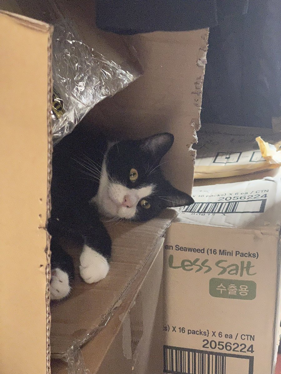 jiwoo 💜 tweet media