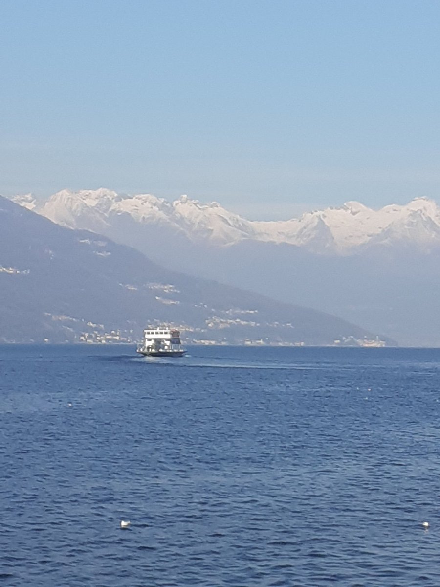 MarisaDenaro71's tweet image. #nulla è come appare.
#Buongiorno