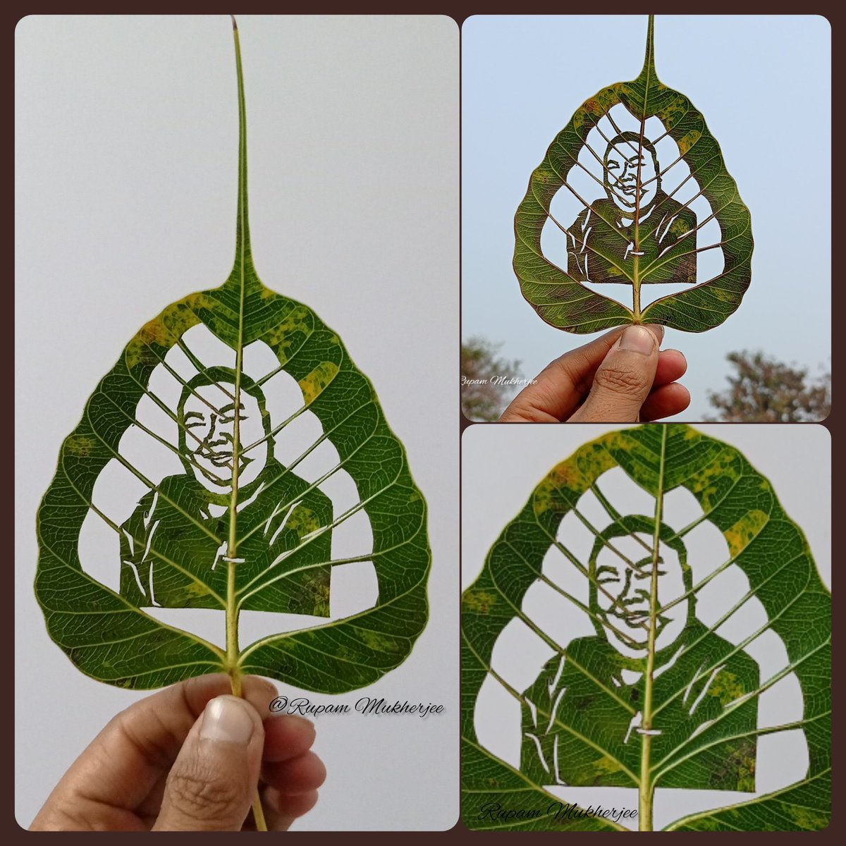 Rrupaam Mukherjee (@rupamcoolmdp) on Twitter photo My Eyes may be small, but my vision is huge as the blue sky.
Your sense of irony is praiseworthy.
My small tribute to your great personality.
<a href="/AlongImna/">Temjen Imna Along</a> Sir
#temjeninmaalong #leafart My Eyes may be small, but my vision is huge as the blue sky.
Your sense of irony is praiseworthy.
My small tribute to your great personality.
<a href="/AlongImna/">Temjen Imna Along</a> Sir
#temjeninmaalong #leafart