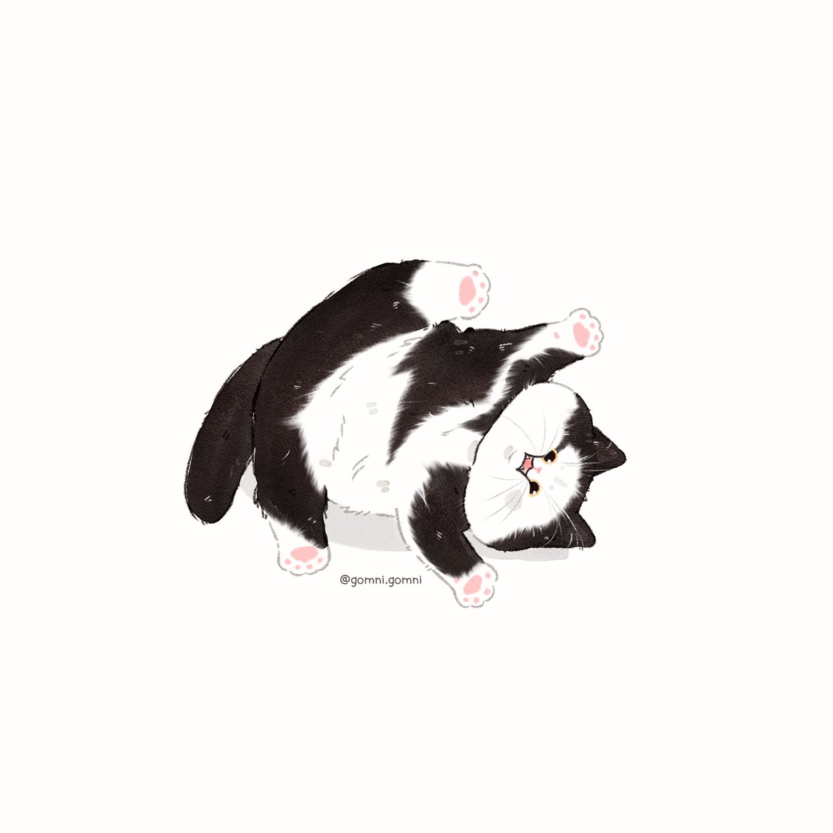 gomnigomni's tweet photo. Cat owner : maumau.thecartooncat (ig)
#procreate #art  #illustration #รับวาดรูป #猫の絵 #もふあんどぴーす #일러스타그램 #그림스타그램 #イラスト #chibi #commission #digitalart #cats #catlovers #แมว #猫絵 #วาดรูปสัตว์เลี้ยง #catmemes #drawcutethings #drawcats #いらすと https://t.co/KHHqnkAeGd